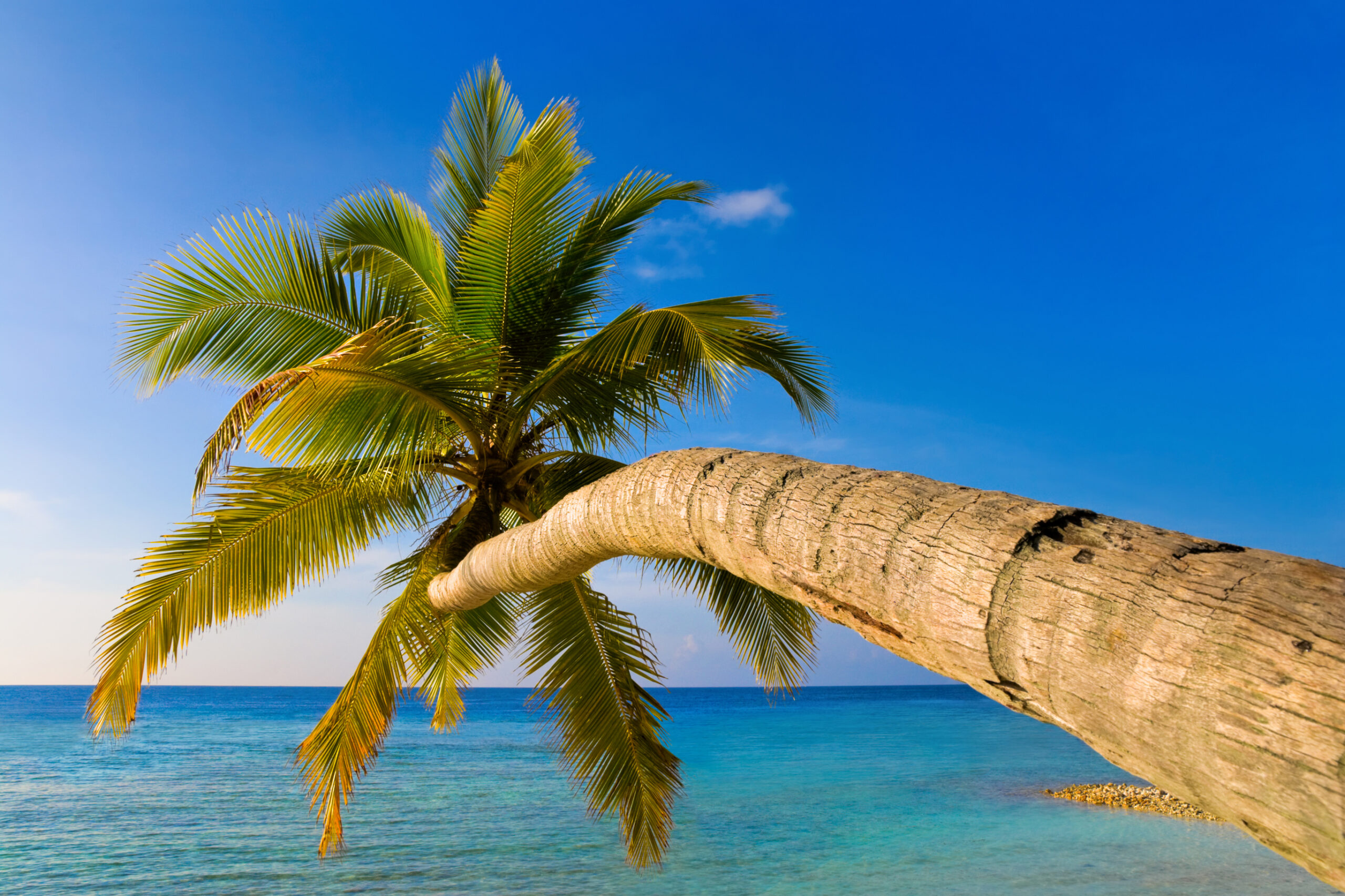 Havana – Trinidad Combo Package