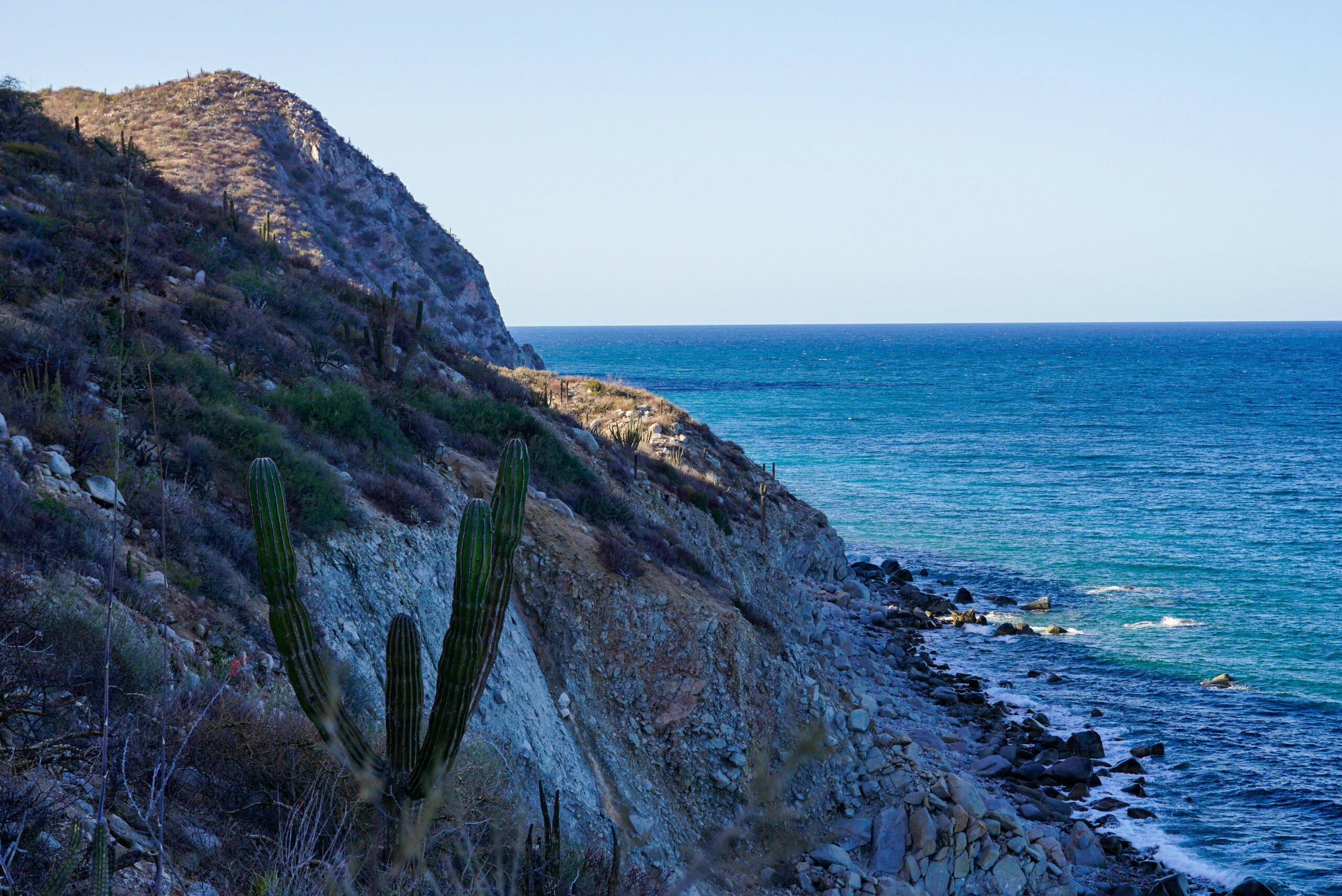 Cabo Gets the Crowds. Two Hours North, Jacques Cousteau’s “World’s Aquarium” Is Almost Empty
